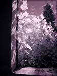dixmont_009